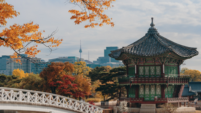 SOUTH KOREA TOUR - SEOUL: EXPERIENCE THE LAND OF KIMCHI - Image - 1299