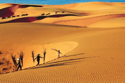 Mui Ne Jeep Tour - Image - 17546