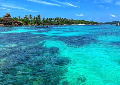 Phu Quoc Island: Buom Island – Gam Ghi Island – May Gut Trong Island By Luxury Speedboat 1 Day - Image - 17193