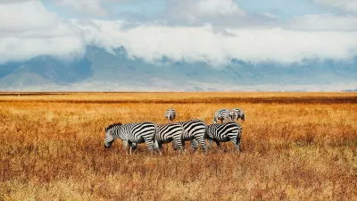 7 Days Best of Kenya safari - Image - 10750