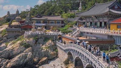 [6 ngày 5 đêm-VJ]Khám phá mùa hè Hàn Quốc: BUSAN -SEOUL– ĐẢO NAMI – INCHEON- THƯ VIỆN SÁCH- ĐI PHÀ CHO HẢI ÂU ĂN - TRẢI NGHIỆM TÀU CAO TỐC KTX - Image - 6793