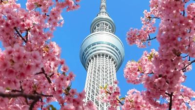 [6 ngày 5 đêm] KHÁM PHÁ NHẬT BẢN MÙA HOA 2026 HÀ NỘI – NAGOYA – NARA – OSAKA – KYOTO – NÚI PHÚ SĨ – TOKYO – HÀ NỘI - Image - 8699