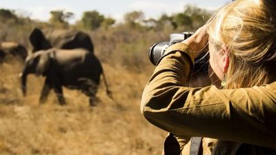 3-Day Mid Range Safari - Serengeti and Ngorongoro Crater - Image - 8483