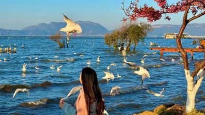 [5 ngày 4 đêm] HÀNH TRÌNH KHÁM PHÁ VÂN NAM: HÀ KHẨU-CÔN MINH ĐẠI LÝ-LỆ GIANG - Image - 7902