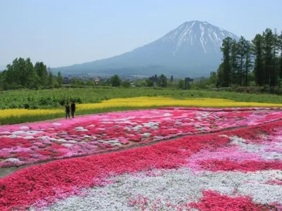 8D 7N/6N COLOURFUL HOKKAIDO - Image - 1023