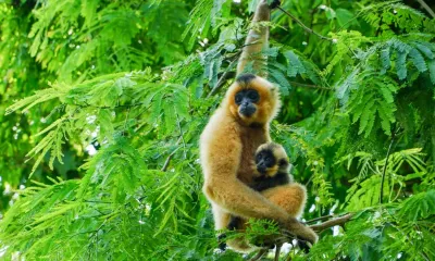 Discover Cat Tien National Park 2 Days 1 Night - Image - 17516