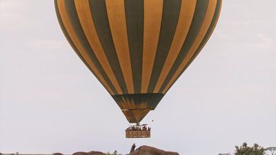 6 Days / 5 Nights Maasai Mara, Lake Naivasha, Amboseli & Tsavo West Safari - Image - 14577