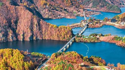 [6 ngày 5 đêm-VJ]Khám phá mùa hè Hàn Quốc: BUSAN -SEOUL– ĐẢO NAMI – INCHEON- THƯ VIỆN SÁCH- ĐI PHÀ CHO HẢI ÂU ĂN - TRẢI NGHIỆM TÀU CAO TỐC KTX - Image - 6796