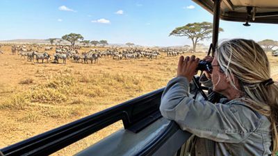 3-Day Big 5 Safari: Ngorongoro Crater, Tarangire & Lake Manyara - Image - 18928