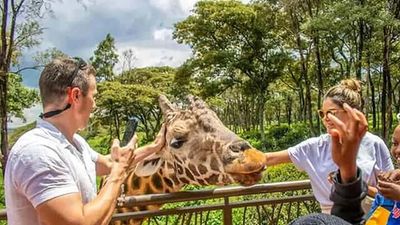 Mombasa: Guided Discovery City Tour And Haller Park Excursion. - Image - 8854