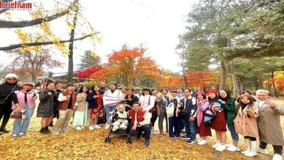 Tour Hàn Quốc 5N4Đ: Từ Hà Nội - Seoul - Nami - Everland - Ngắm Hoa Anh Đào Công Viên Yeouido, Bay Vietnam Airlines + KS 4* - Image - 5455