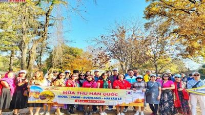 Tour Hàn Quốc 5N4Đ: Từ Hà Nội - Seoul - Nami - Everland - Ngắm Hoa Anh Đào Công Viên Yeouido, Bay Vietnam Airlines + KS 4* - Image - 5446