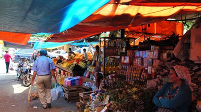 8-Day Paraguay: National Pantheon – Filadelfia – Encarnación – Yerba Mate Factory - Image - 10228