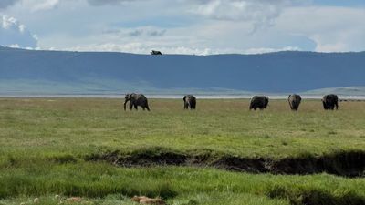 5-Day Upper Mid-Range Best of Tanzania Safari - Image - 20446