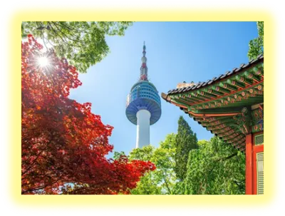 Tour Hàn Quốc: Busan - Daegu - Seoul 6 ngày 5 đêm - Image - 891