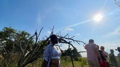 3 days Murchison Falls Safari. - Image - 8501
