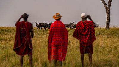 3 Days Masai Mara Safari – Private Midrange Adventure - Image - 12896