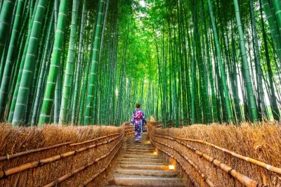 Tour Nhật Bản Cung Đường Vàng 5 Ngày 5 Đêm [khởi hành từ Hà Nội] - Image - 860