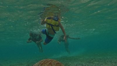 5 Days 4 Nights | Bali – Gili – Lombok Interisland Tour - Image - 11743