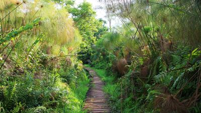 10 Days Uganda Honeymoon Adventure - Image - 13823
