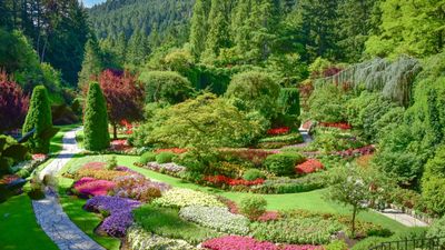 TOUR LIÊN TUYẾN ĐÔNG – TÂY CANADA MÙA HÈ 2026 12N11Đ - Image - 9293