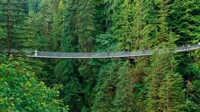 TOUR BỜ TÂY CANADA – MÙA HOA ANH ĐÀO 7N6Đ - Image - 9242