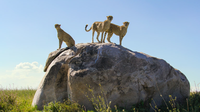 13 Day Unforgettable Tanzania wildlife Safari and Zanzibar Beach Paradise - Image - 11775