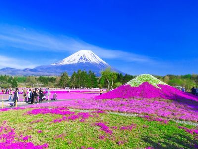 Tour Nhật Bản: Kobe | Kyoto | Osaka | Izumisano - Image - 287