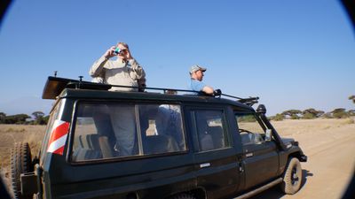 9 Days-Authentic Tanzania Wildlife Safari & Culture Experience - Image - 12631
