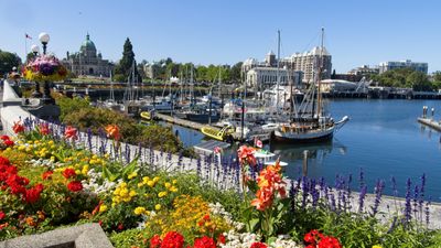 TOUR BỜ TÂY CANADA – MÙA HOA ANH ĐÀO 7N6Đ - Image - 9247