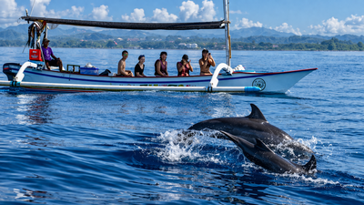 Dolphin Lovina & Bedugul Tour Package - Image - 12162