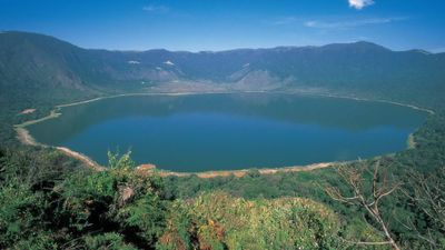 6‑Day Big Five Safari Experience and Exceptional Wildlife Encounters - Image - 11807