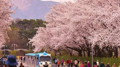 (BAY ĐÊM VỀ TỐI) CHƯƠNG TRÌNH MÙA HOA: SEOUL-EVERLAND–NAMI ISLAND–THƯ VIỆN SÁCH STARFIELD-NAMSAN - Image - 6992