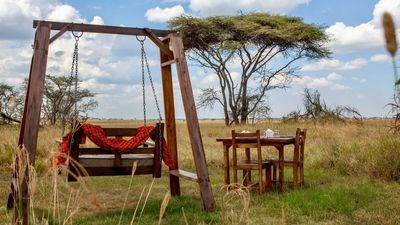 From the Serengeti Migration to Zanzibar’s White Sands | 12-Day Journey - Image - 7958