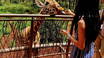 Mombasa: Nguuni Nature Sanctuary Guided Giraffe Feeding Excursion - Image - 8729