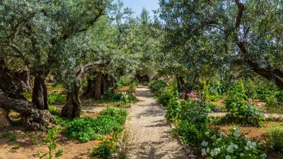 11-Day Holy Land: Sea of Galilee – Via Dolorosa – Dead Sea – Nile Cruise - Image - 10195