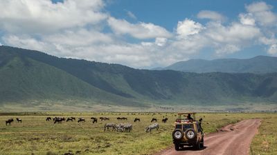 6-Day Tanzania Highlights Safari: Arusha, Serengeti and Ngorongoro - Image - 11310