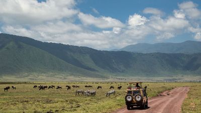 13 Day Unforgettable Tanzania wildlife Safari and Zanzibar Beach Paradise - Image - 11776