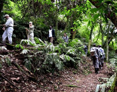7-Day Uganda Gorilla, Chimpanzees & Wildlife Adventure Safari - Image - 3653