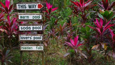 Philippines Journey: Hidden Valley Day Tour - Image - 9869