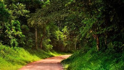 6 Days Uganda Adventure Safari - Image - 10819