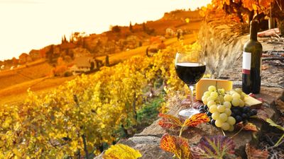 Tbilisi to Kakheti Wine Region Day Tour – Sighnaghi, Bodbe Monastery & Wine Tasting - Image - 14250