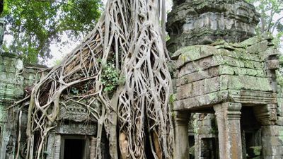 4-Day Angkor and Tonle Sap: Siem Reap Temple and Floating Village Tour - Image - 11005