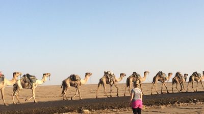 3-Day Danakil Depression Tour - Image - 6537