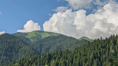 Tbilisi to Borjomi Day Tour – Borjomi Central Park, Mineral Water & Nature Escape - Image - 14331