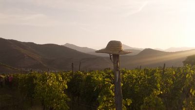 Tbilisi to Kakheti Wine Region Day Tour – Sighnaghi, Bodbe Monastery & Wine Tasting - Image - 14231