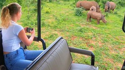 Game Drink And Rhino Walk Safari - Image - 8512