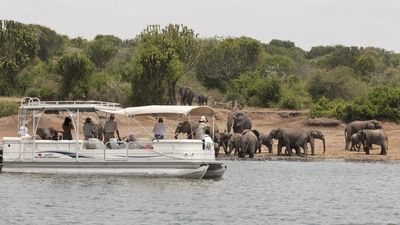 6 Days Uganda Primates and Wildlife Safari - Image - 10545