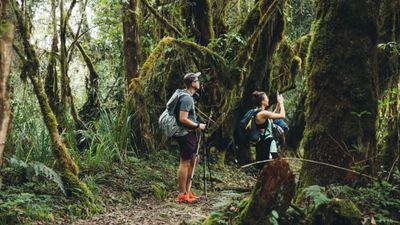 17 Days Ultimate Northern Safari and Trekking (Tanzania) - Image - 11897
