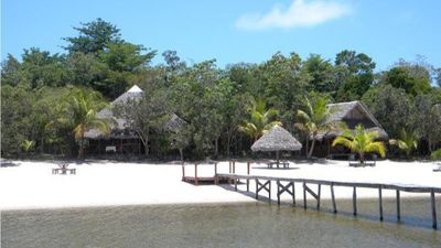 Discover Analamazaotra Park And Ankanin'ny Nofy 5 days - Image - 14931